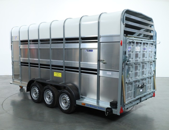 2025 Ifor Williams TA510 16x7 (497x178x212cm) Dubbeldeks Schapentrailer 3-asser VT761 | Aanhangwagen | Veetrailer