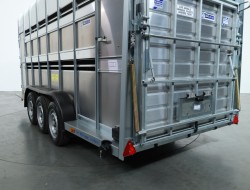2025 Ifor Williams TA510 16x7 (497x178x212cm) Dubbeldeks Schapentrailer 3-asser VT761 | Aanhangwagen | Veetrailer