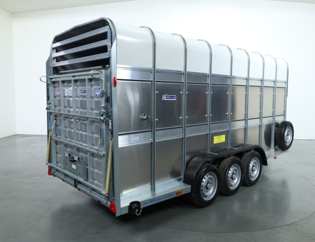 2025 Ifor Williams TA510 16x7 (497x178x212cm) Dubbeldeks Schapentrailer 3-asser VT761 | Aanhangwagen | Veetrailer