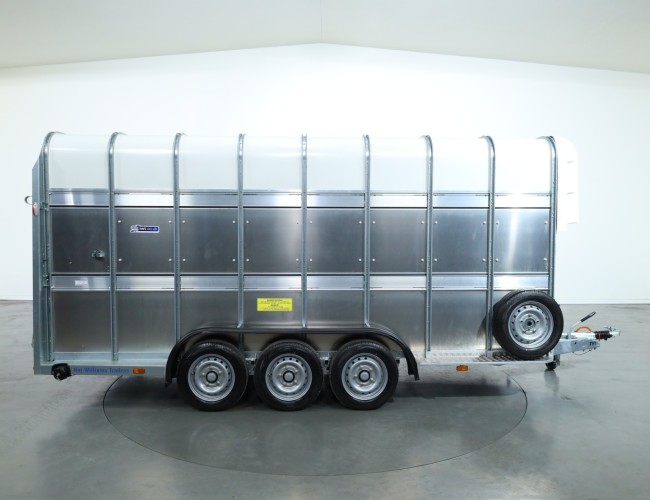 2025 Ifor Williams TA510 16x7 (497x178x212cm) Dubbeldeks Schapentrailer 3-asser VT761 | Aanhangwagen | Veetrailer