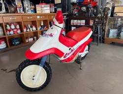 1986 Honda CUB EZ90 VK10077 | Transport | Bromfiets / Motor