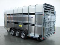 2026 Ifor Williams TA510 16x7 (497x178x212cm) Dubbeldeks Schapentrailer/ Veetrailer VT1087 | Aanhangwagen | Veetrailer