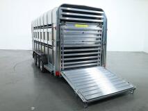 2026 Ifor Williams TA510 16x7 (497x178x212cm) Dubbeldeks Schapentrailer/ Veetrailer VT1087 | Aanhangwagen | Veetrailer